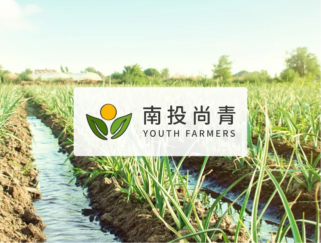 南投尚青青農特產導購平台設計提案