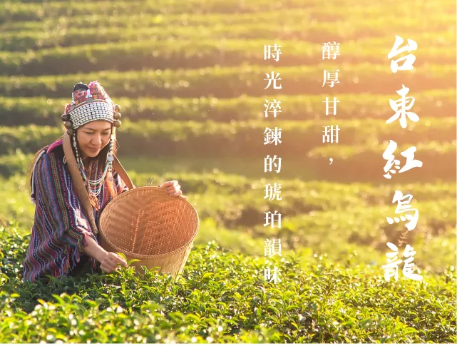 臺東縣政府財政及經濟發展處_台東紅烏龍產業數位培力暨行銷平台建置計畫提案