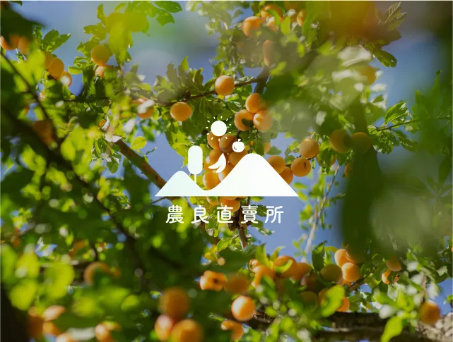 農業科技研究院_農良直賣所平臺設計提案